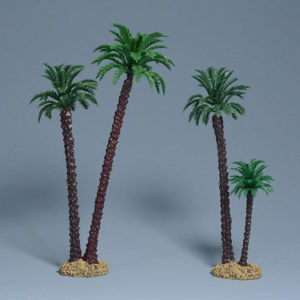 CLB6021 Coconut Palms
