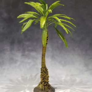 TRE006 Jungle Broadleaf Palm Tree