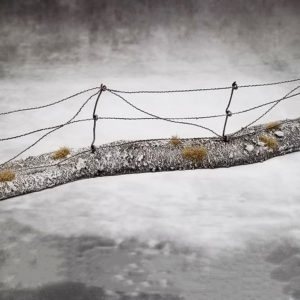 ACC003W BARBED WIRE SECTION (WINTER)