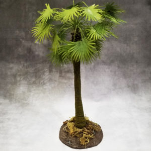 TRE005 Jungle Sugar Palm Tree